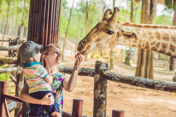family zoo