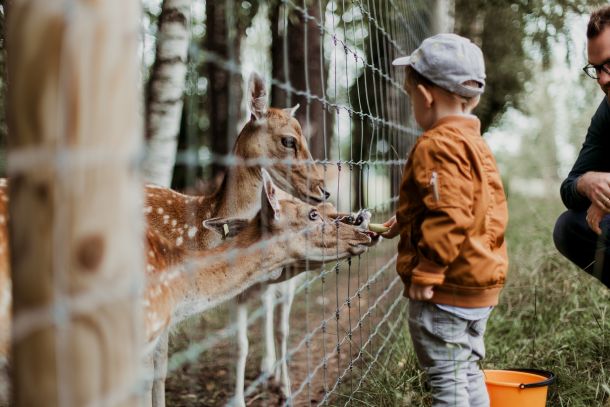 kid at the zoo
